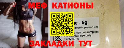 шишки Кингисепп