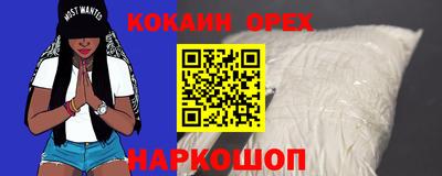 шишки Кингисепп