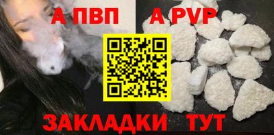 шишки Кингисепп