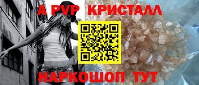 шишки Кингисепп