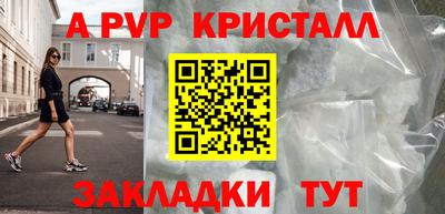 шишки Кингисепп