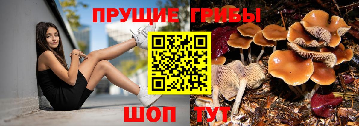 Кызыл  Галлюциногенные грибы мицелий  Вход с VPN  Галлюциногенные грибы Magic Shrooms 